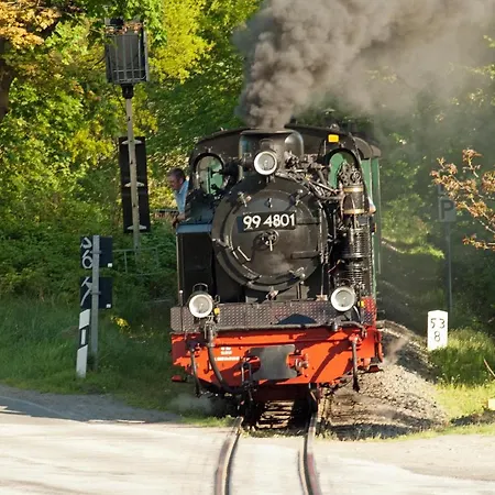 Ferien Unterm Reetdach In Daire